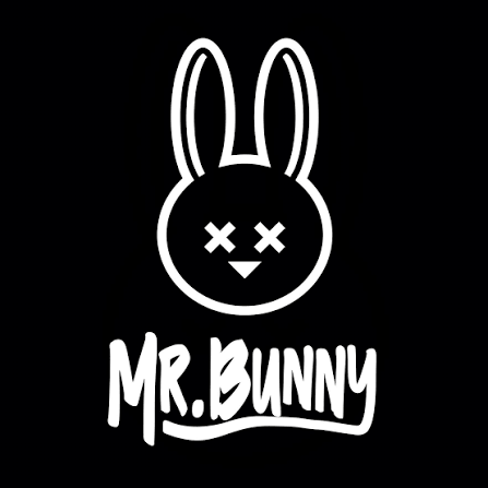 Mr Bunny